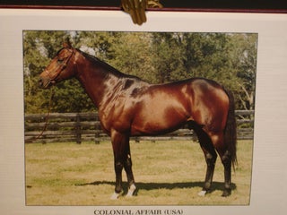 The Stallion Book for 1998