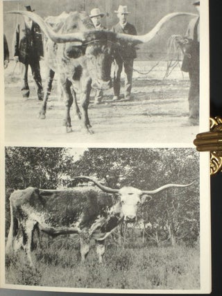 The Longhorns (prospectus)