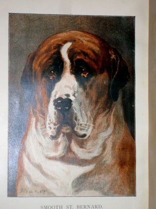 The St. Bernard. Its History, Points, Breeding, and Rearing