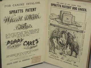 The St. Bernard. Its History, Points, Breeding, and Rearing