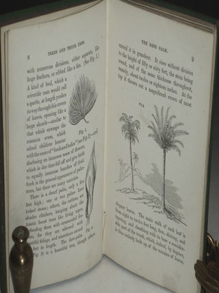 Trees and Their Uses