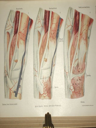 Special Report on Diseases of the Horse