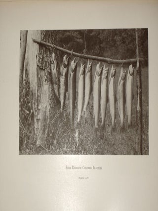 Tales of Fresh Water Fishing