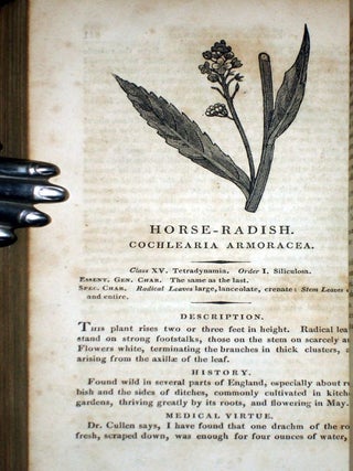 A New Family Herbal: Or Popular Account of the Natures and Properties of the Various Plants Used in Medicine, Diet and Their Arts