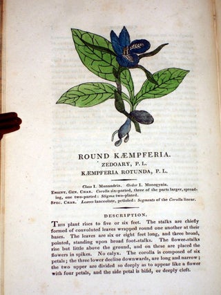 A Family Herbal: Or Familiar Account of the Medical Properties of British and Foreign Plants Also Their Uses in Dying, and the Various Arts, Arranged According to the Linnaean System