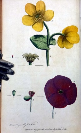 Letters on the Elements of Botany, Addressed to a Lady.