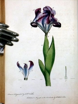 Letters on the Elements of Botany, Addressed to a Lady.