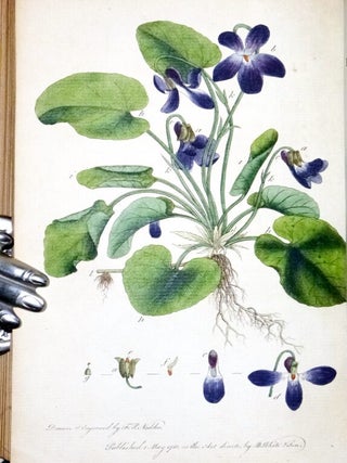 Letters on the Elements of Botany, Addressed to a Lady.