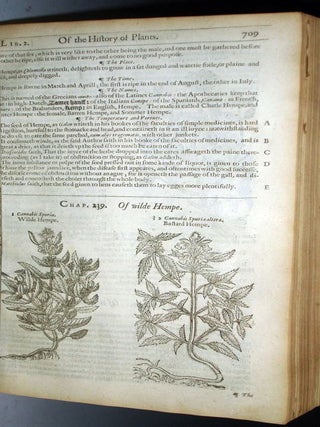 The Herball or Generall Historie of Plantes Gathered By John Gerarde of London Master in Chirurgerie
