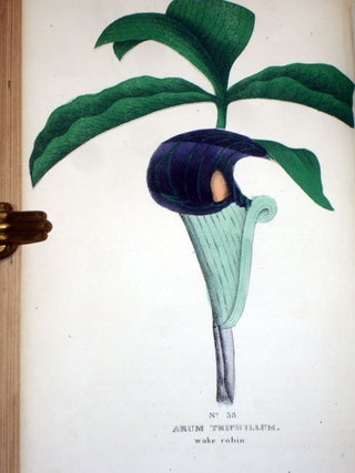 The Family Flora and Materia Medica Botanica,; the Botanical Analysis, Natural History, and Chemical and Medical Properties and Uses of Plants
