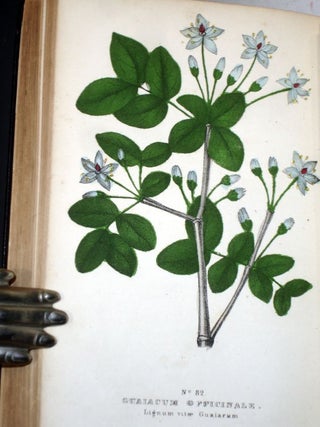 The Family Flora and Materia Medica Botanica,; the Botanical Analysis, Natural History, and Chemical and Medical Properties and Uses of Plants
