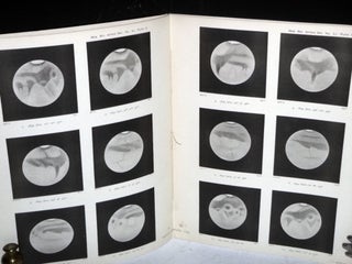 Physical Observations of Mars Made at the Allegheny Observatory in 1892
