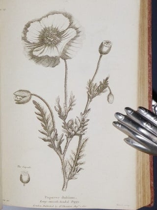Elements of Botany