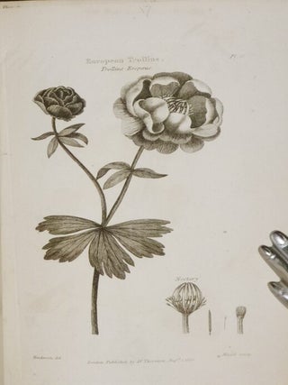 Elements of Botany