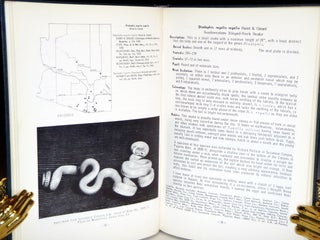 The Snakes of Arizona. Their Derivation, Speciation, Distribution, Description, and habits---A Study in Evolutionary Herpeto-Zoogeographic Phylogenetic Ecology.