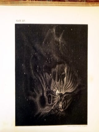 The Story of the Heavens