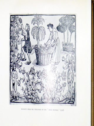 The Old English Herbals