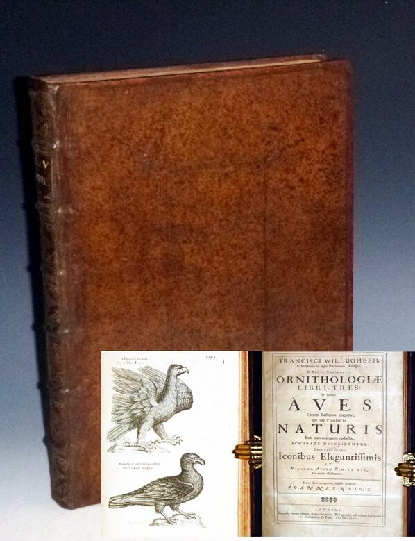 Item #023936 Ornithologiae Libri Tres:In Quibus Aves Ombnes Hactenus Cognitae, in Methodum Naturis Suis Convenientem Redactae, Accurate Describunture: Descriptiones Iconibus Elegantiffimis et Vivarum Avium Sinillimis, Aeri Insifis Illuftranture. Francis Willughby, Joannes Raius, John Ray, Francisci Willughbeii.