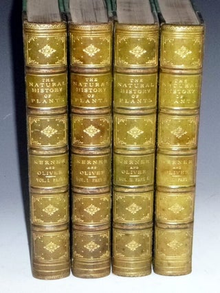 The Natural History of Plants, Their Forms, Growth, Reproduction, and Distribution.