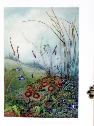 The Natural History of Plants, Their Forms, Growth, Reproduction, and Distribution.