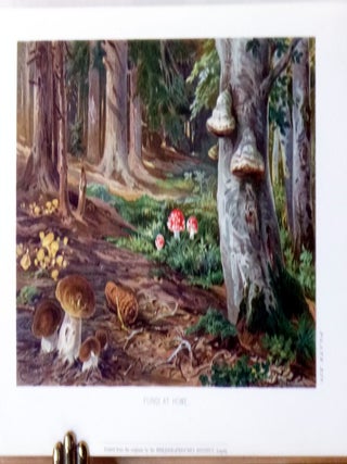 The Natural History of Plants, Their Forms, Growth, Reproduction, and Distribution.