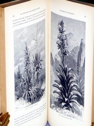 The Natural History of Plants, Their Forms, Growth, Reproduction, and Distribution.