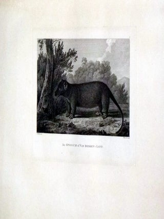An Account of the Voyages Discoveries in the Southern Hemisphere; South Pole and Round the World; A Voyage to the Pacific Ocean and the Discoveries in the Northern Hemisphere. The First, Second and Third Voyages.