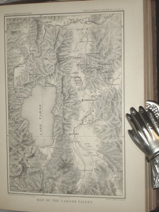 Comstock Mining and Miners