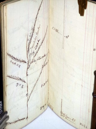 Surveyor's Diary, Lyon County, Kentucky, (ca.1890)