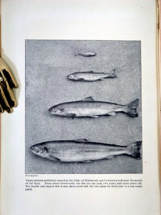 The Life of the Salmon; with Reference More Especially to the Fish in Scotland
