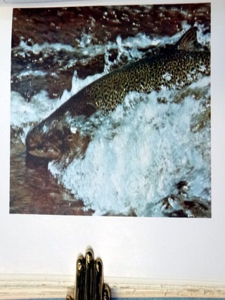 The Atlantic Salmon Treasury (signed, Limited Edition 597/1000)