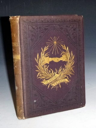Item #028452 Life Sketches: Being narratives of Scenes Occurring in the Labours of Almira Losee....