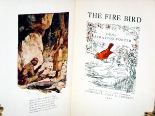 The Fire Bird