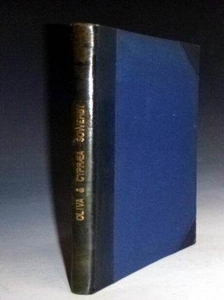 Item #028625 Olivia & Cypraea. G. B Sowerby