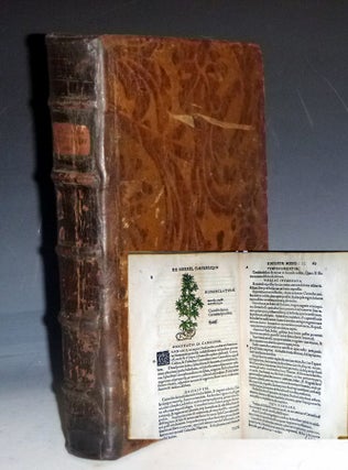 Item #028808 Botanicon: Continens Herbarum, Alioqumsque Simplicium, Quorum Usus in Medicinis Est,...