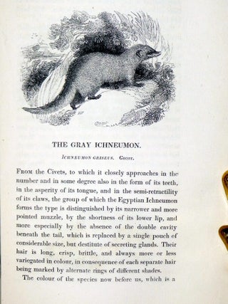 The Tower Menagerie; Comprising the Natural History of the Animals Contained in That Establishment; with Anecdotes of Their Characters and History