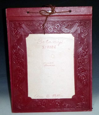 Item #029008 Scrapbook, Edna B. Potter, Botany, Michigan State University. Edna B. Potter