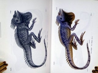 Erpetologie generale, ou, Histoire naturelle complete des Reptile (General Herpetology or Complete Natural History of Reptiles) (6 Volume Set with atlas)