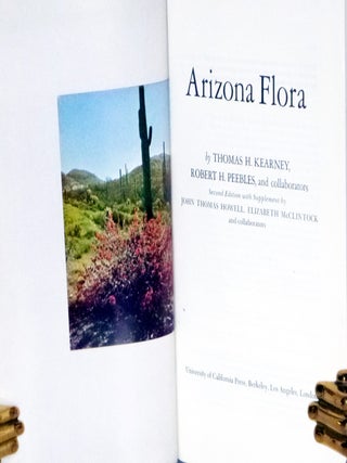 Arizona Flora