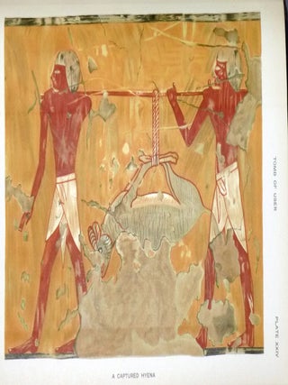 Five Theban Tombs: (being those of Mentuherkhepeshef, User, Daga, Nehemawa¨y and Tati), with Forty-Three Plates