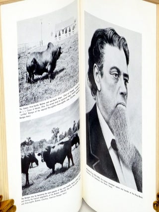 Cowboy Arithmetic as an Investment