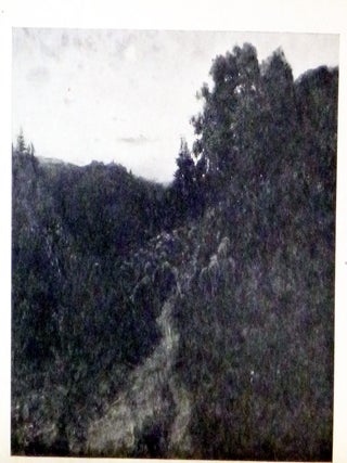 The Nature of Landscape