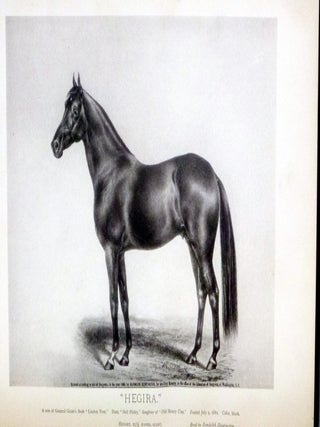 History in Brief of "leopold" and "linden", General Grant's Arabian Stallions. (lacking Title Page and Two Images as in Most Surviving copies)