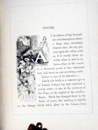 The Ice-Maiden (Translated from the Danish By Mrs. Bushby, with Drawings By Zwecker, Engraved by Pearson)
